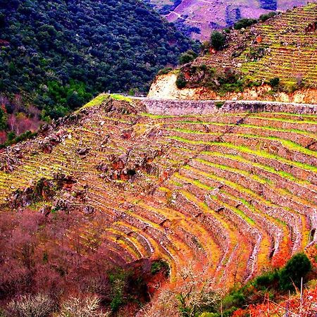 Castelodobispo - Ourense Sobrado del Obispo Buitenkant foto